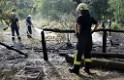 Waldbrand Koeln Hoehenhaus Hoehenfelder Mauspfad P105